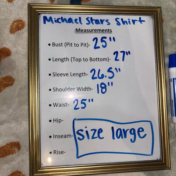 Michael Stars NWT Double Gauze Zia Button Down Top - Lake Blue - Size Large - Picture 15 of 15